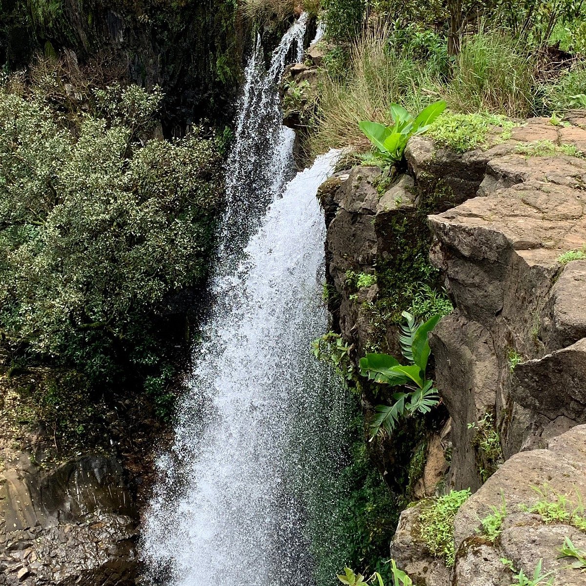 Vajrapoha Falls